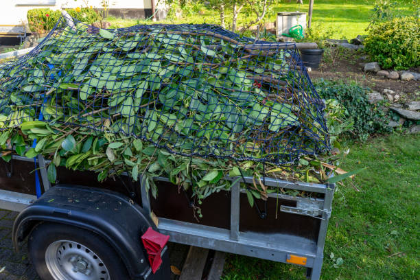 Best Yard Waste Removal  in Mount Clemens, MI